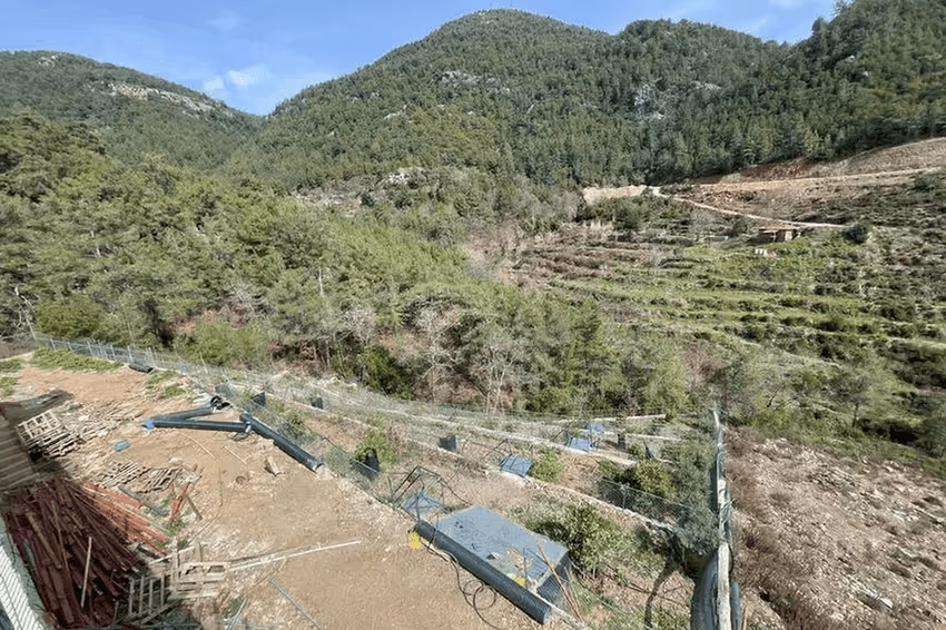Villa Cantaloupe - фото 2