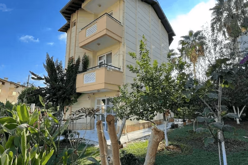 Villa Jackfruit