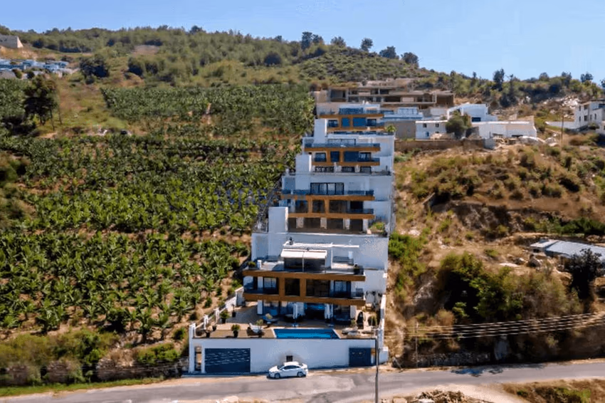 Villa Olive - фото 3
