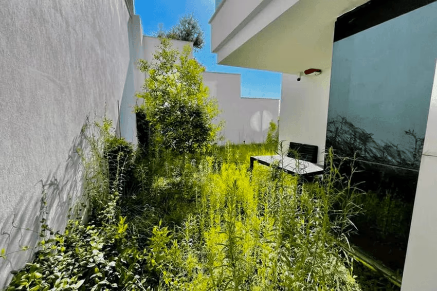 Villa Olive - фото 6