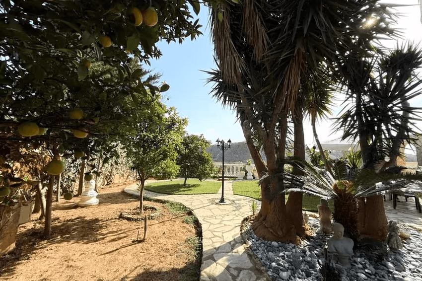 Villa Persimmon - фото 5